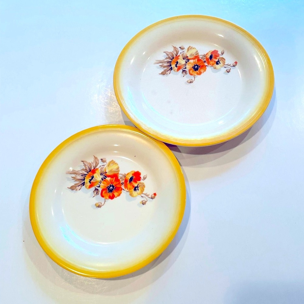 Vintage 1950’s plates